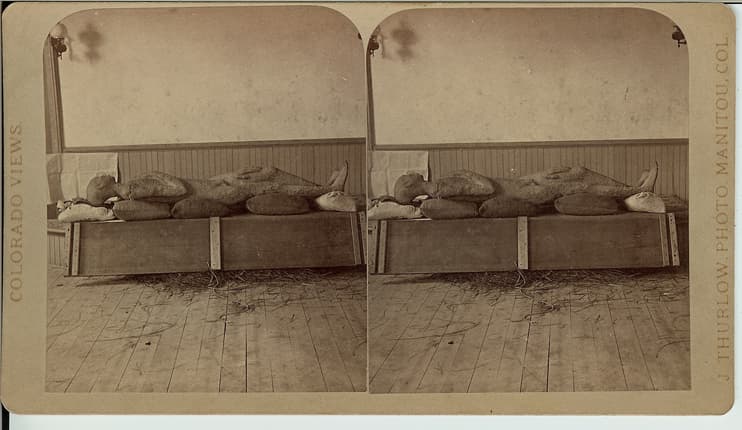 Stereoview of the Solid Muldoon petrified man exhibit, Colorado